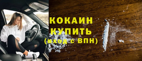 мяу мяу мука Баксан