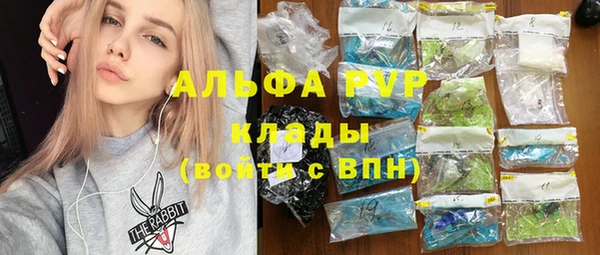 мяу мяу мука Баксан