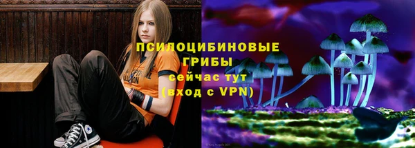 герыч Балахна